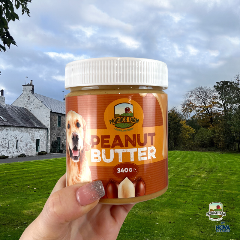 Peanut Butter